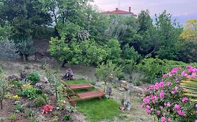 Apartment Vella